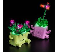 Kit di illuminazione compatibile con Lego 11506 Rocking Plants Botanical Collection Set (nessun modello), set di illuminazione a LED compatibile con Lego Rocking Plants 11506 Giocattolo creativo