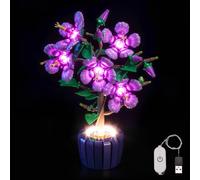 Kit di luci compatibile con Lego 10372 Hibiscus Botanical Collection Set (non un modello), interruttore touch dimmer LED, set di illuminazione compatibile con Lego Hibiscus 10372 giocattolo creativo