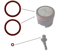 Kit di manutenzione guarnizione O-ring pezzi di ricambio grasso in silicone per Krups EA XP ES & Rowenta macchina da caffè automatica pistone infusione gruppo infusore - 4 varianti (set 29.1