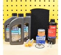 Kit di Manutenzione per BMW F650 / Pezzi E169 Servizio Set Olio Bel-Ray 15w50