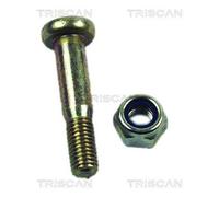 Kit Di Montaggio Braccio Oscillante TRISCAN Per FORD ESCORT V