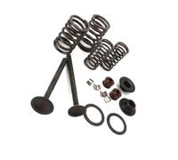 Kit di montaggio for motocicletta, molla di scarico adatta for scooter ATV GY6 49 50CC 125 150CC 139QMB 157QMJ(For GY6 125 150CC)