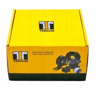 Kit di montaggio, sospensione delle ruote TEDGUM TED22009 DUSTER (HS_) 1.2 2015-
