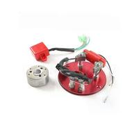 Kit di montaggio statore rotore interno bobina magnete per motocicletta per scooter 50/110/125/140/150CC