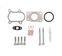 Kit di montaggio turbocompressore EVORON EVMK0080 per DAILY V Furgone 2.3 2011-