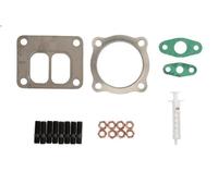 Kit di montaggio turbocompressore EVORON EVMK0106 per AXOR 6.374 2002-2004
