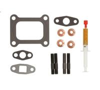 Kit di montaggio turbocompressore MAHLE 038 TA 18536 000 per KERAX 10.837 2009-