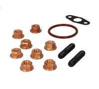 Kit di montaggio turbocompressore REINZ 04-10041-01 per ATEGO 4.249 1998-2004