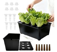 Kit di piantagione idroponica, resistente alle macchie, per tutte le stagioni, kit completo per coltivazione idroponica per principianti, kit per piantine di piante idroponiche per fiori di lattuga