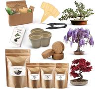 Kit di piantagione per bonsais - ideale per regalo donna, regalo uomo, regalo di compleanno donna, kit giardinaggio per bambini, crescere la propria pianta bonsai con facilità ed eleganza