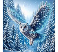 Kit di pittura con diamanti Art Diamond Painting 5D fai-da-te con forme speciali parziali, set di arte con gemme per adulti e principianti, decorazione murale per casa, dipinti a punti