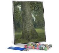 Kit di pittura fai da te per adulti Studio del tronco di un olmo dipinto di John Constable Dipingere con i numeri Kit su tela per principianti