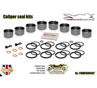 Kit Di Revisione Del Freno Anteriore Ducati 848 2009 Superbike