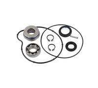Kit di revisione della pompa 'acqua for 660 660R YFM660R for 2001-2005 Guarnizione ricostruita Cuscinetto O-ring universale