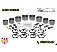 Kit Di Revisione Per La Pinza Del Freno Anteriore Suzuki RGV250 SP V VJ23 1997