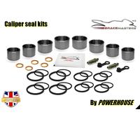 Kit Di Revisione Per La Pinza Del Freno Anteriore Yamaha FZS1000 Fazer 2003