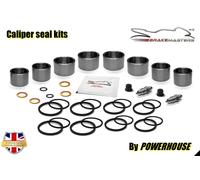 Kit Di Revisione Per Pinza Del Freno Anteriore Ducati 916 S 1996 Superbike