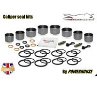 Kit Di Revisione Per Pinza Del Freno Anteriore Suzuki GSXR400 RL 1990 GK76A