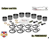 Kit Di Revisione Per Pinza Del Freno Anteriore Triumph Daytona 675 2007