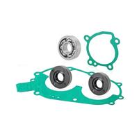 Kit Di Revisione Pompa Acqua Con Cuscinetti, Paraoli E Guarnizioni Per P&olaris Sportsman Big Boss Scrambler Xplorer Xpress 400 400L 3086748