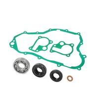 Kit Di Revisione Pompa Acqua Con Guarnizioni, Paraoli E Cuscinetti Per CR250 CR250R 1992-2001