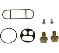 Kit di revisione rubinetto benzina K&S 55-3004