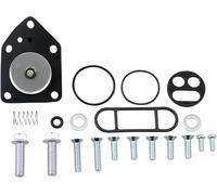 Kit di revisione rubinetto benzina PU 60-1053