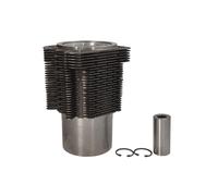 Kit di ricambi, pistone con camicia del cilindro ENGITECH ENT059004 STD