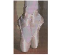 Kit Di Ricamo A Punto Croce O Schema Di Florashell - Scarpe Da Balletto