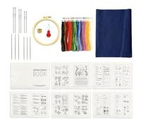 Kit di ricamo per principianti - Kit di iniziazione con libro per principianti, guida riutilizzabile ai materiali, progetti divertenti fai da te decorazione casa donne hobby