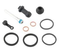 Kit di ricostruzione della pinza, argento