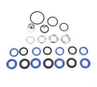 Kit di riparazione airless 248213 dello spruzzatore della vernice per 1095 1595 5900 Ricostruire l'Assemblea della valvola con le componenti dell'acciaio inossidabile