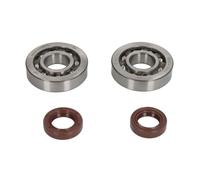 Kit Revisione Albero Motore: Kit Cuscinetti Paraolio APRILIA MOJITO 50 2004 2008