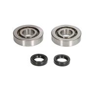 P4E0480444002 CRANKSHAFT REBUILDING KIT SKF GILERA STALKER 50 DT BASE 1999