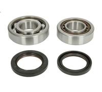 Kit di riparazione albero motore HOT RODS K019 HR