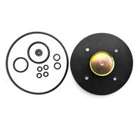 Kit Di Riparazione Bigas Per Vaporizzatore GPL RI21