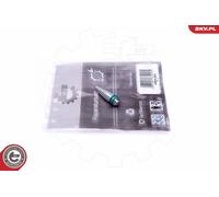 Kit Di Riparazione, Modulo Di Aspirazione SKV Per BMW 1 3 5 X1 X3