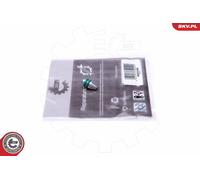 Kit riparazione, modulo collettore aspirazione 49SKV546 ESEN SKV per BMW 3 X3 X1