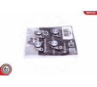 Kit riparazione, modulo collettore aspirazione 49SKV544 ESEN SKV per BMW 1 3 X3