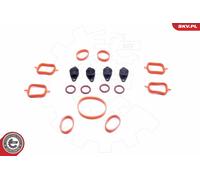 Kit riparazione, modulo collettore aspirazione 49SKV561 ESEN SKV