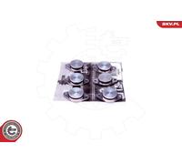 ESEN SKV Kit di riparazione modulo collettore aspirazione 49SKV542 per BMW 3er/5er/7er X3/X5