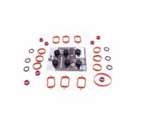 Kit di riparazione BMW M57