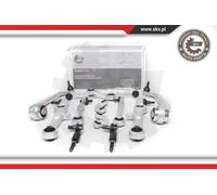Kit di riparazione braccio oscillante Assale anteriore 04SKV250 ESEN SKV