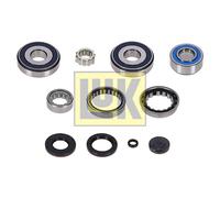 Kit di riparazione, cambio manuale INA 462 0313 10