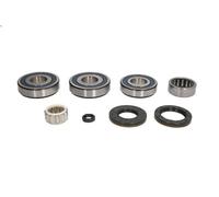 Kit di riparazione cambio manuale LUK 462 0239 10 per CLK (C209) 3 2005-2009