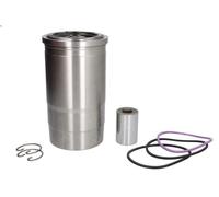 Kit di riparazione canna pistone/cilindro KOLBENSCHMIDT per i6 12.903 2010-