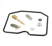 Kit di riparazione, carburatore TOURMAX CAB-K4