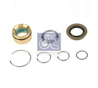Kit di riparazione, cilindro basculante DT Spare Parts 5.96205