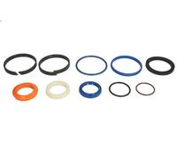 Kit di riparazione cilindro idraulico ANAC MAKINA 991-00098-AN