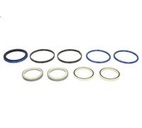 Kit di riparazione cilindro idraulico ANAC MAKINA 991-00156-AN